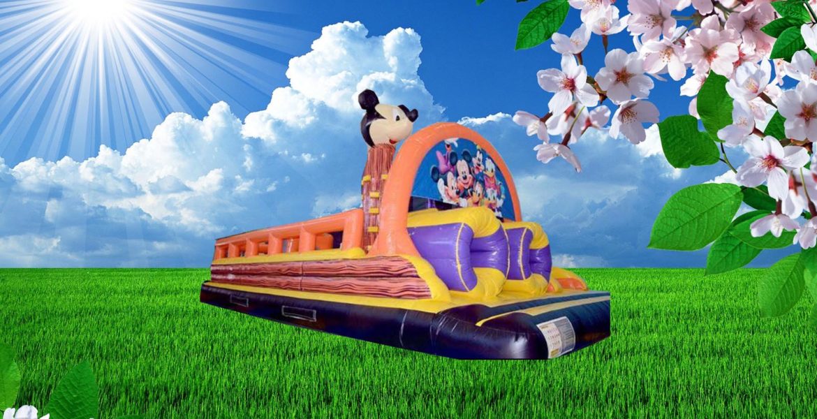 6 - mickey mouse